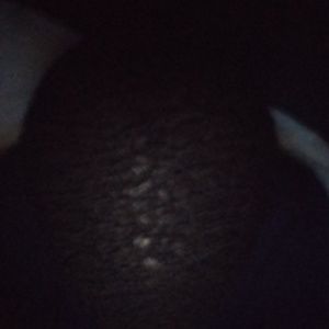 Meet your Posher, Curtis